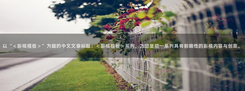 绝密543西瓜影院