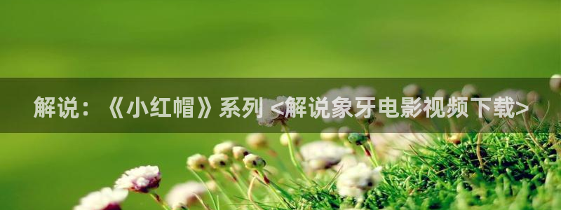 新闻图片