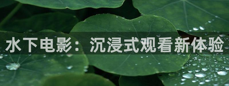 新闻图片